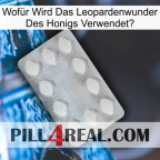 Wofür Wird Das Leopardenwunder Des Honigs Verwendet 16